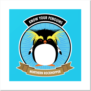 Northern Rockhopper Penguin - Know Your Penguins Posters and Art